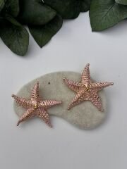 Deniz Yıldızı Küpe Pembe