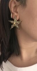 Deniz Yıldızı Küpe Siyah