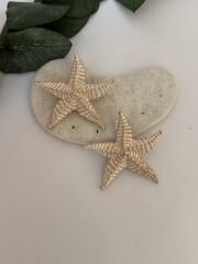 Deniz Yıldızı Küpe Beyaz